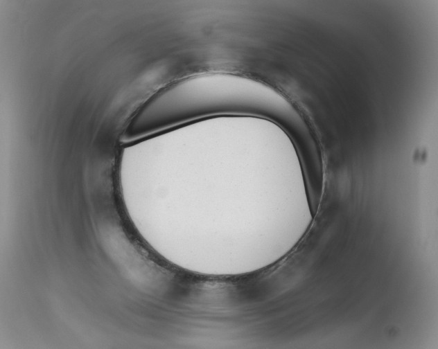 X0000111680154200908281144