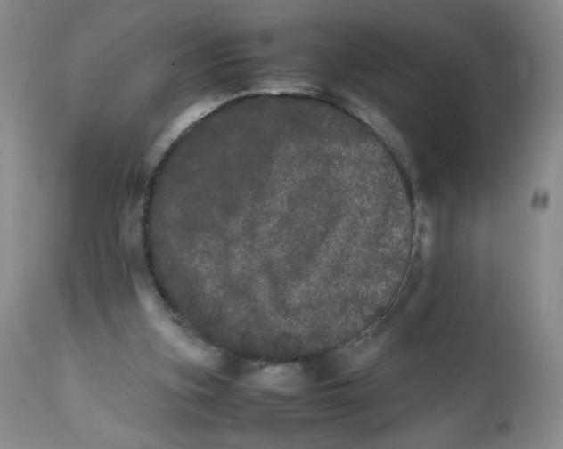 X0000111680155200908281144