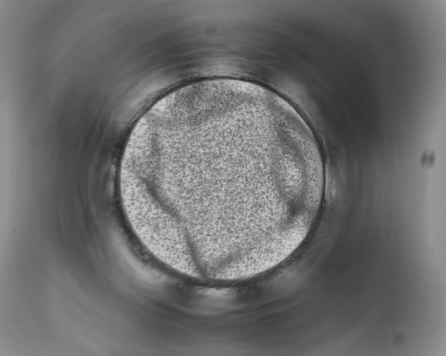 X0000111680157200908281144