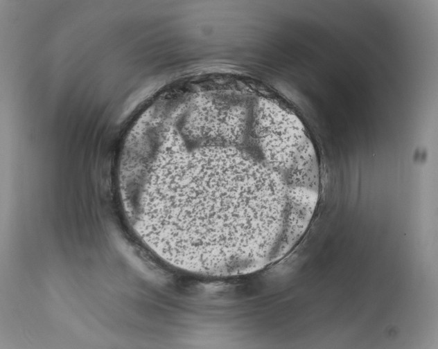 X0000111680158200908281144