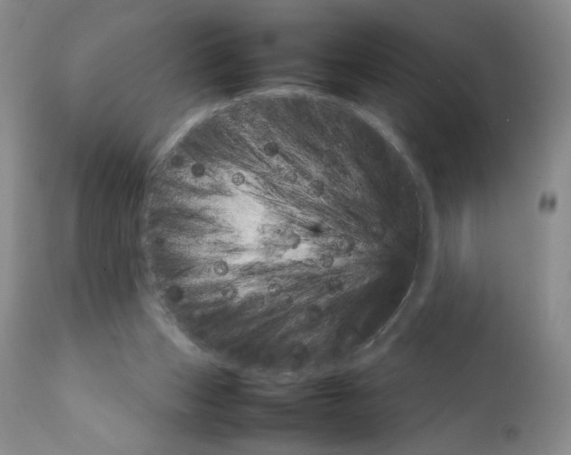 X0000111680159200908281144