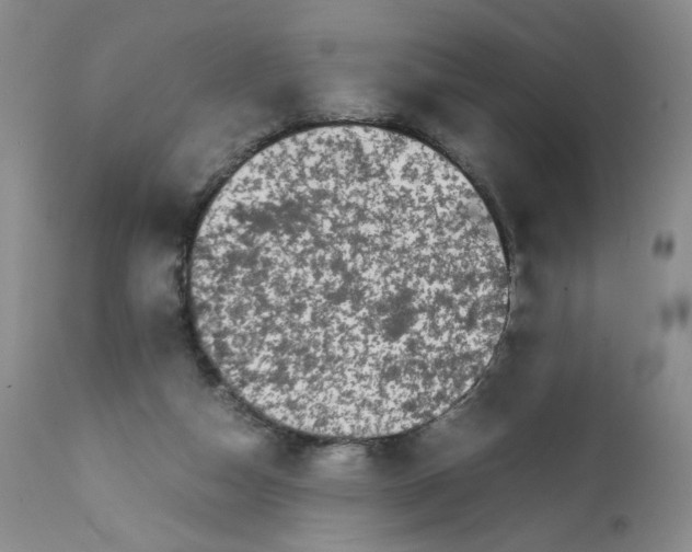 X0000111680162200908281144