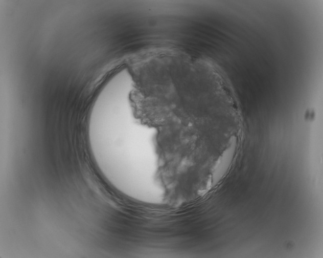 X0000111680163200908281144