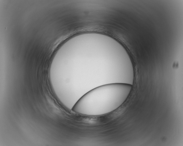 X0000111680164200908281144