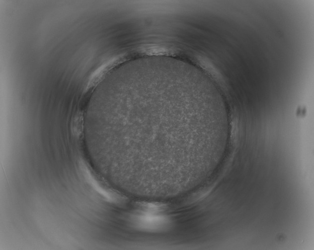 X0000111680165200908281144