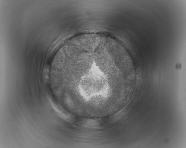 X0000111680166200908281144