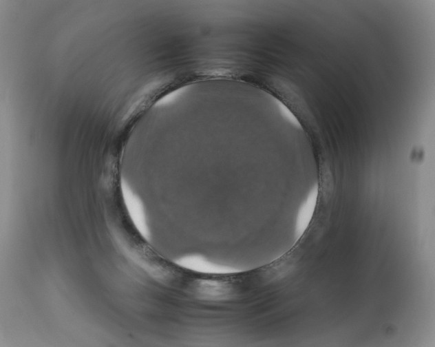 X0000111680167200908281144