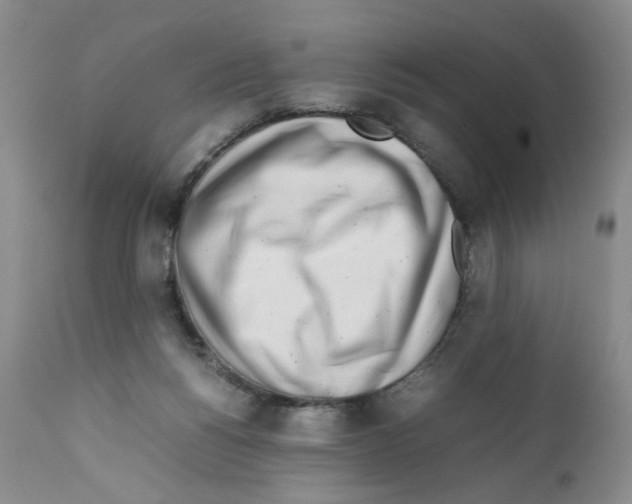 X0000111680168200908281144