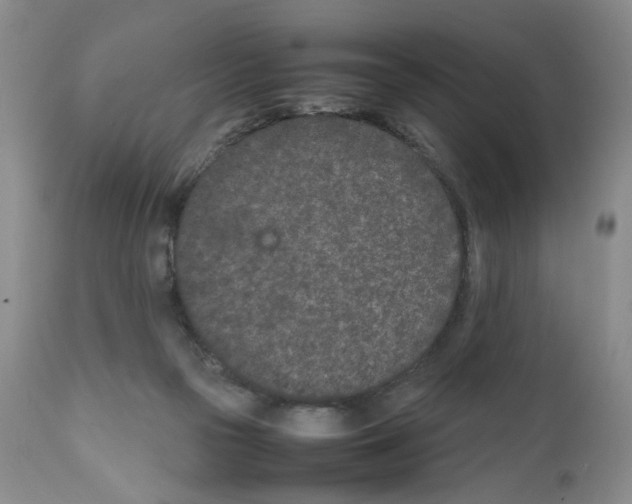 X0000111680169200908281144