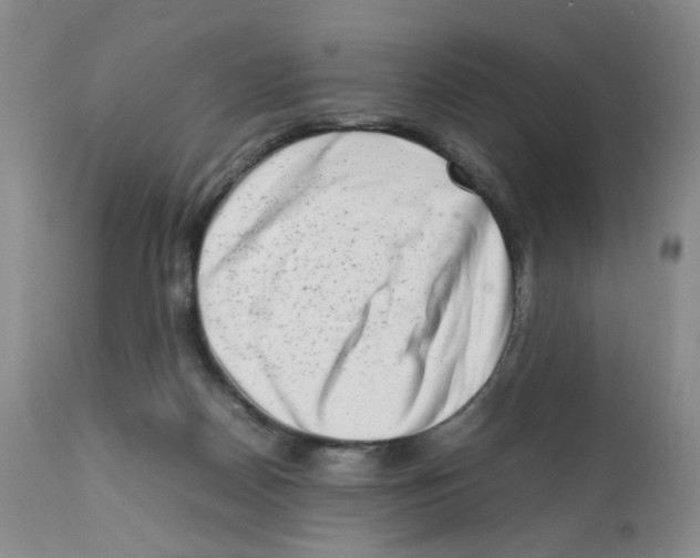 X0000111680170200908281144