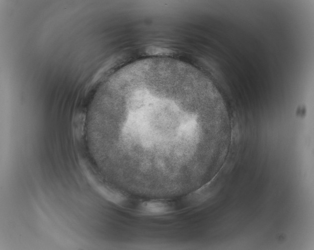 X0000111680171200908281144