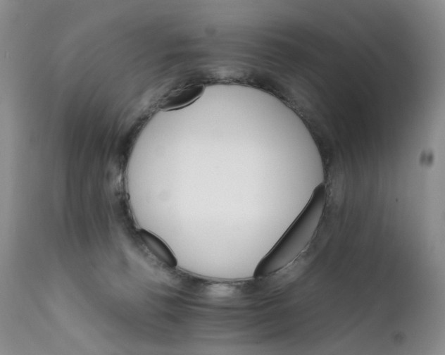 X0000111680176200908281144