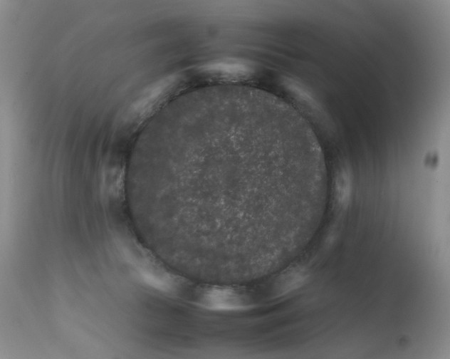 X0000111680177200908281144