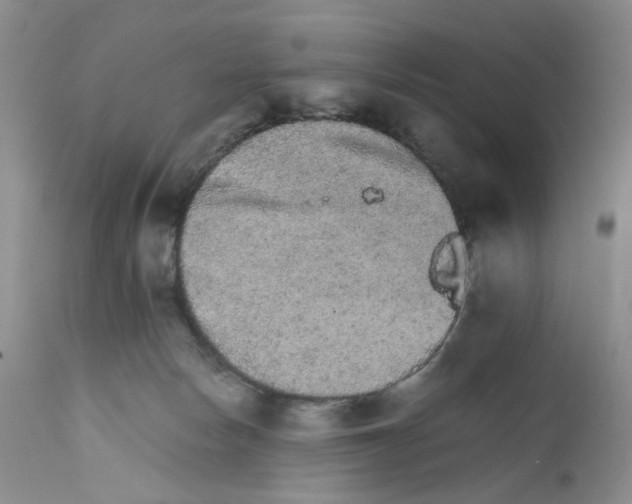 X0000111680178200908281144