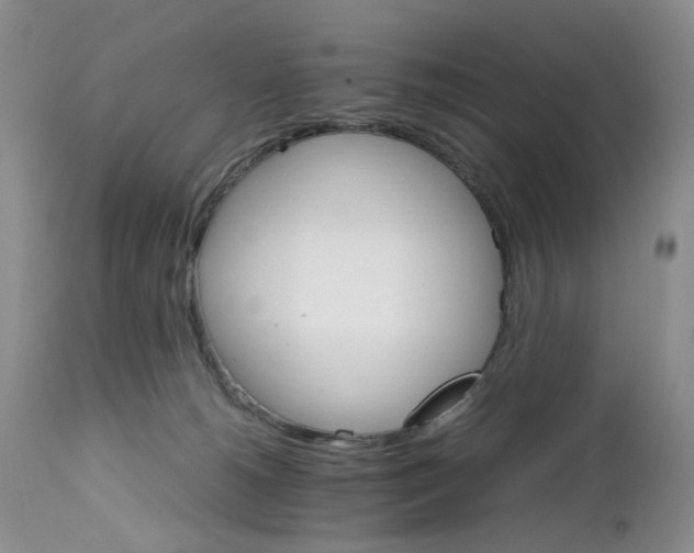 X0000111680180200908281144