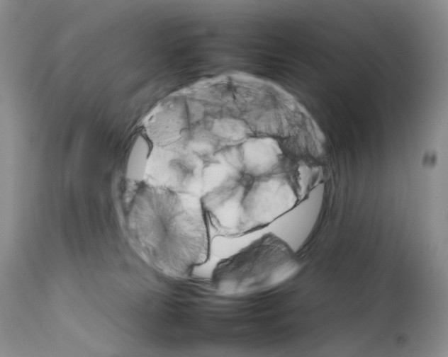 X0000111680181200908281144