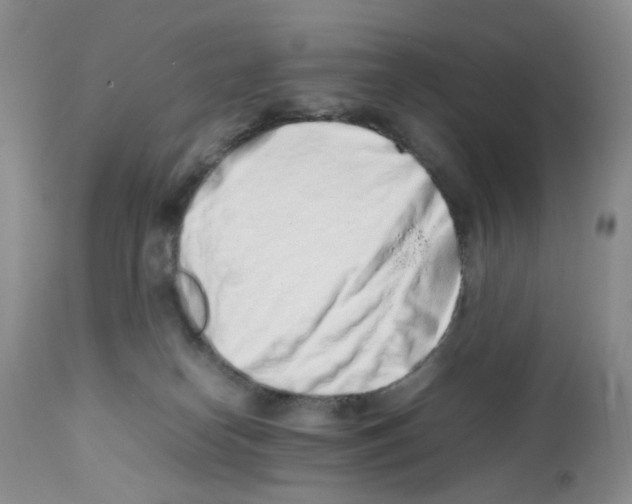 X0000111680182200908281144