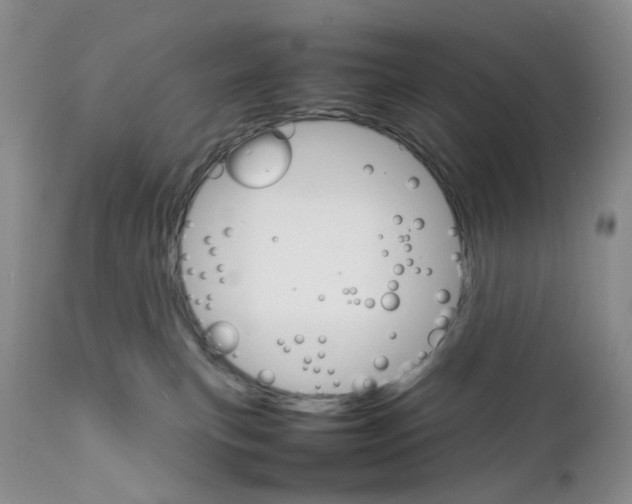 X0000111680183200908281144