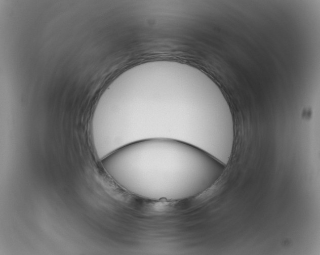 X0000111680184200908281144