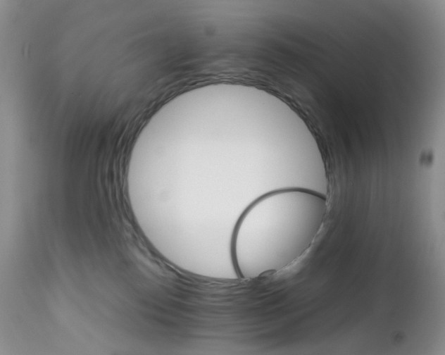 X0000111680186200908281144