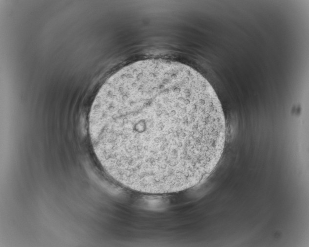 X0000111680187200908281144