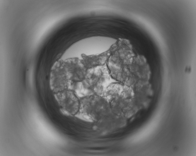 X0000111680189200908281144