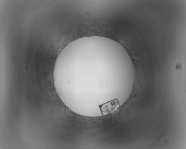 X0000111680192200908281144