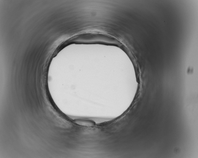 X0000111680193200908281143