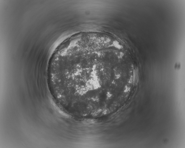 X0000111680195200908281143