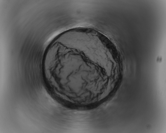 X0000111680196200908281143