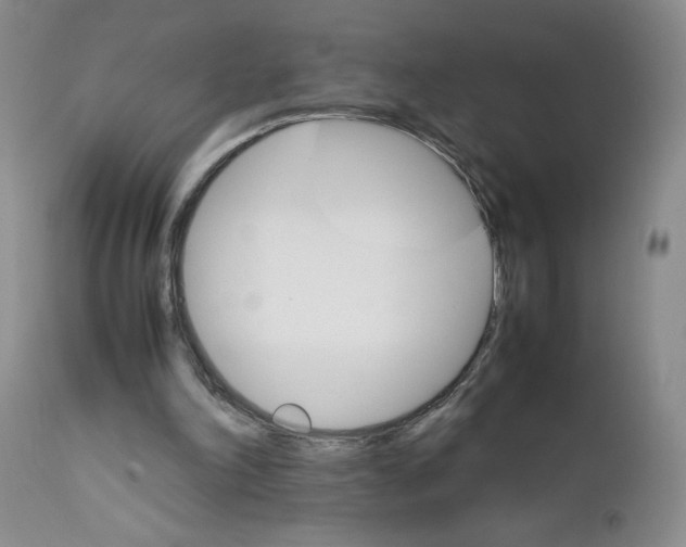 X0000111680198200908281143