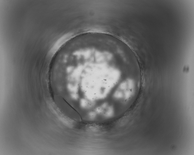 X0000111680199200908281143