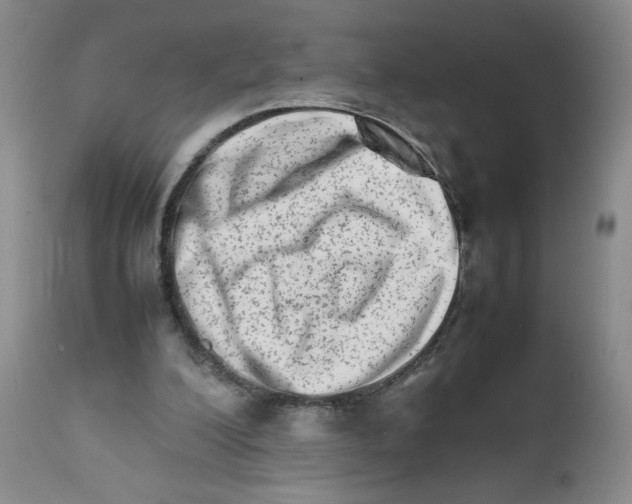 X0000111680200200908281143