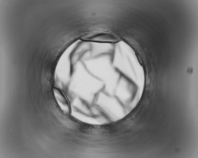 X0000111680201200908281143