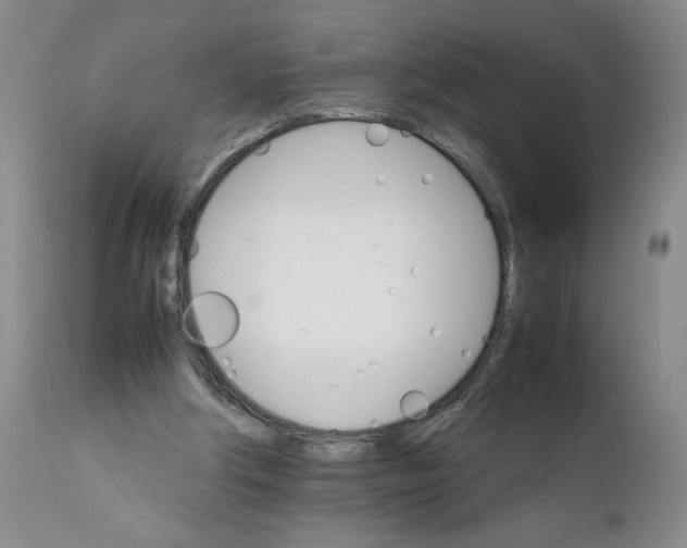 X0000111680202200908281143