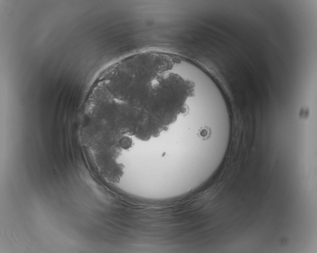 X0000111680204200908281143