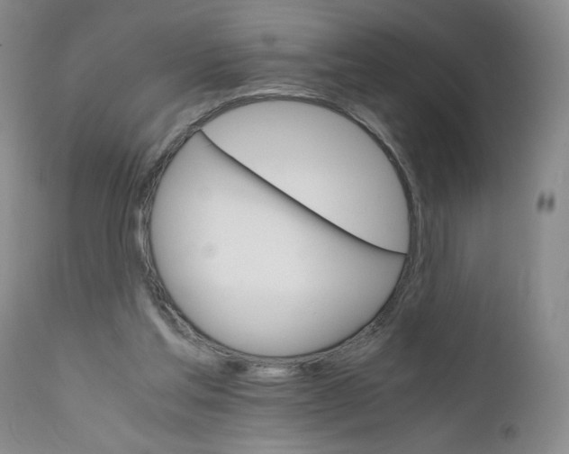 X0000111680205200908281143