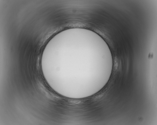 X0000111680206200908281143