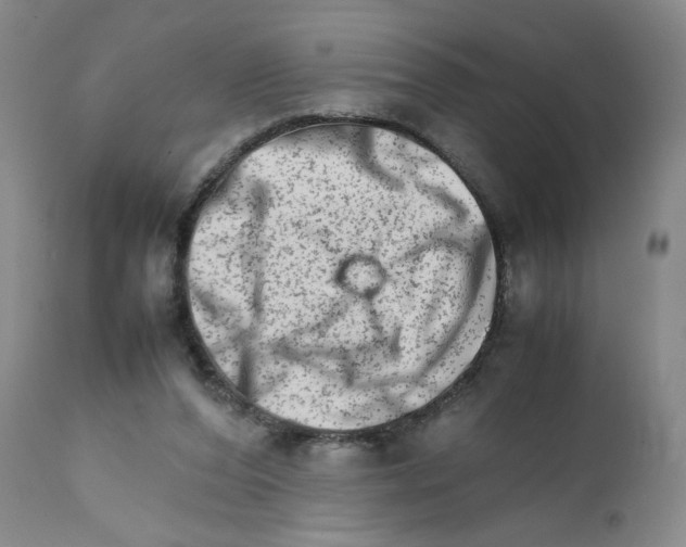 X0000111680208200908281143