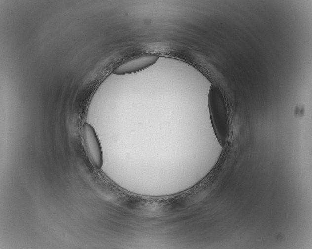 X0000111680209200908281143