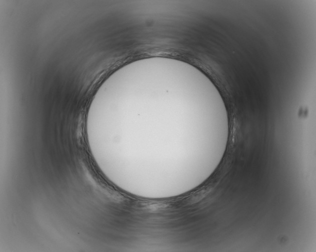 X0000111680210200908281143