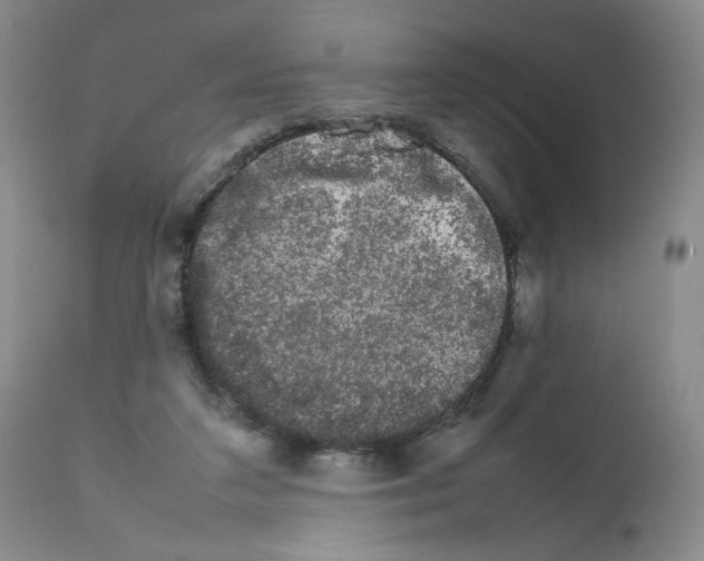 X0000111680211200908281143