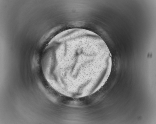 X0000111680212200908281143