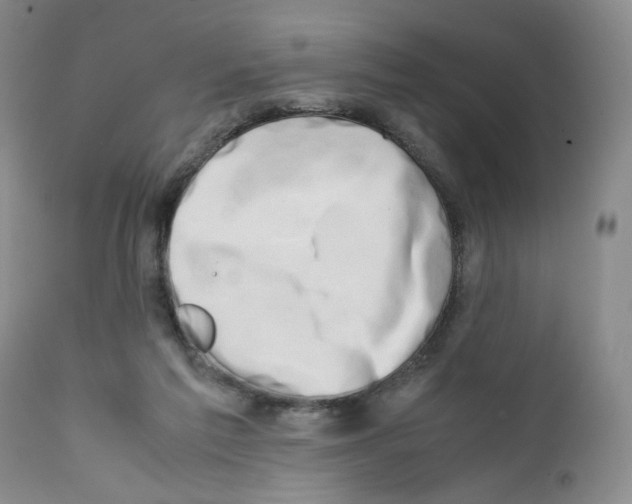 X0000111680213200908281143