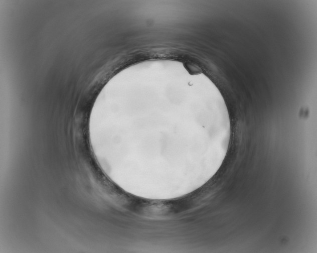 X0000111680217200908281143