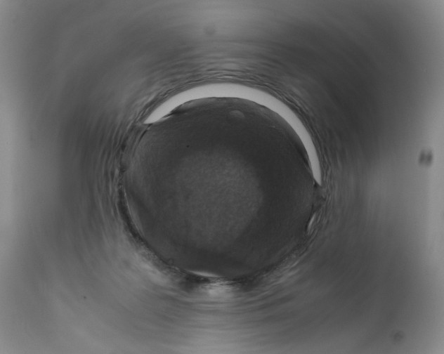 X0000111680219200908281143