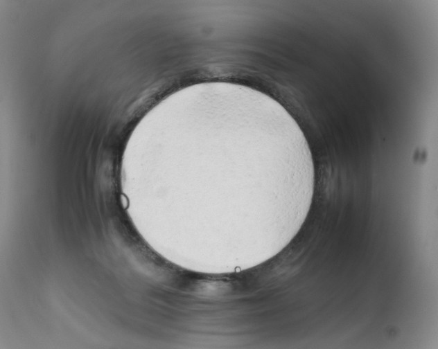 X0000111680220200908281143