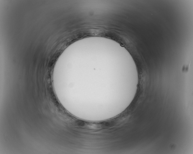 X0000111680221200908281143