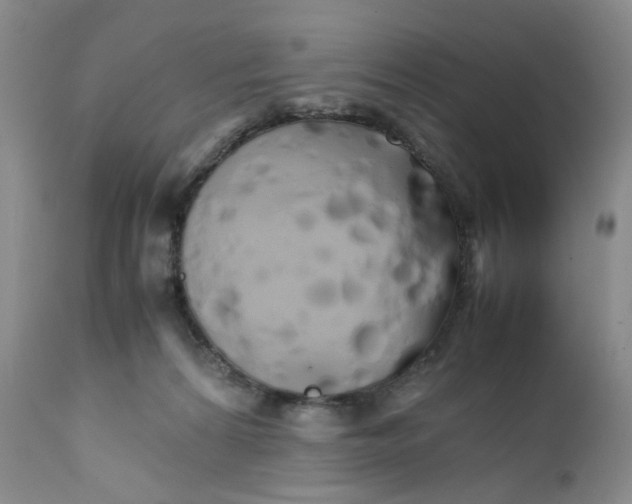 X0000111680224200908281143