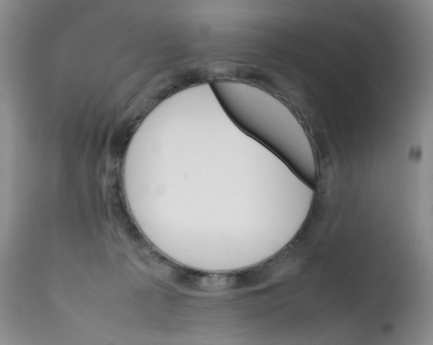 X0000111680225200908281143